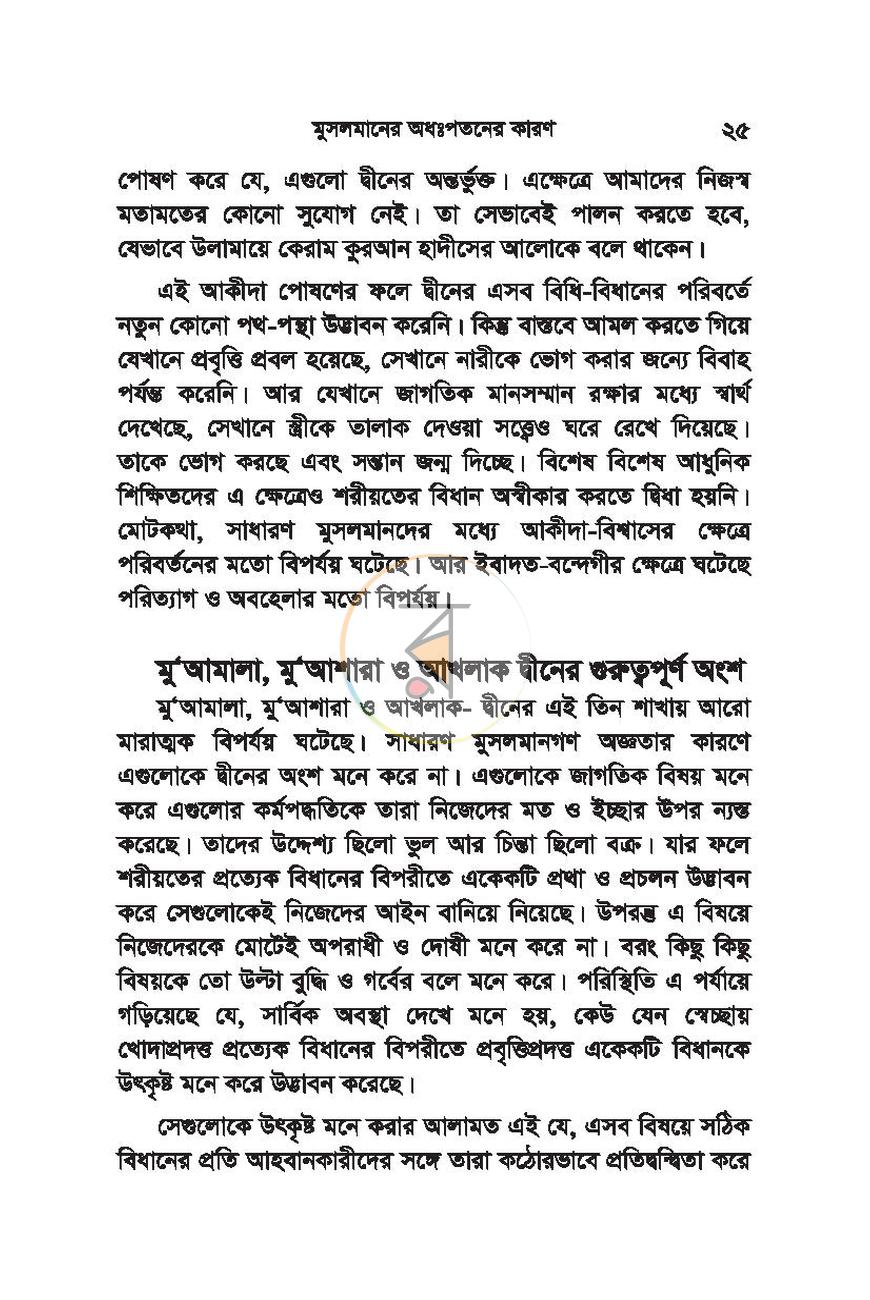 পাতা 24