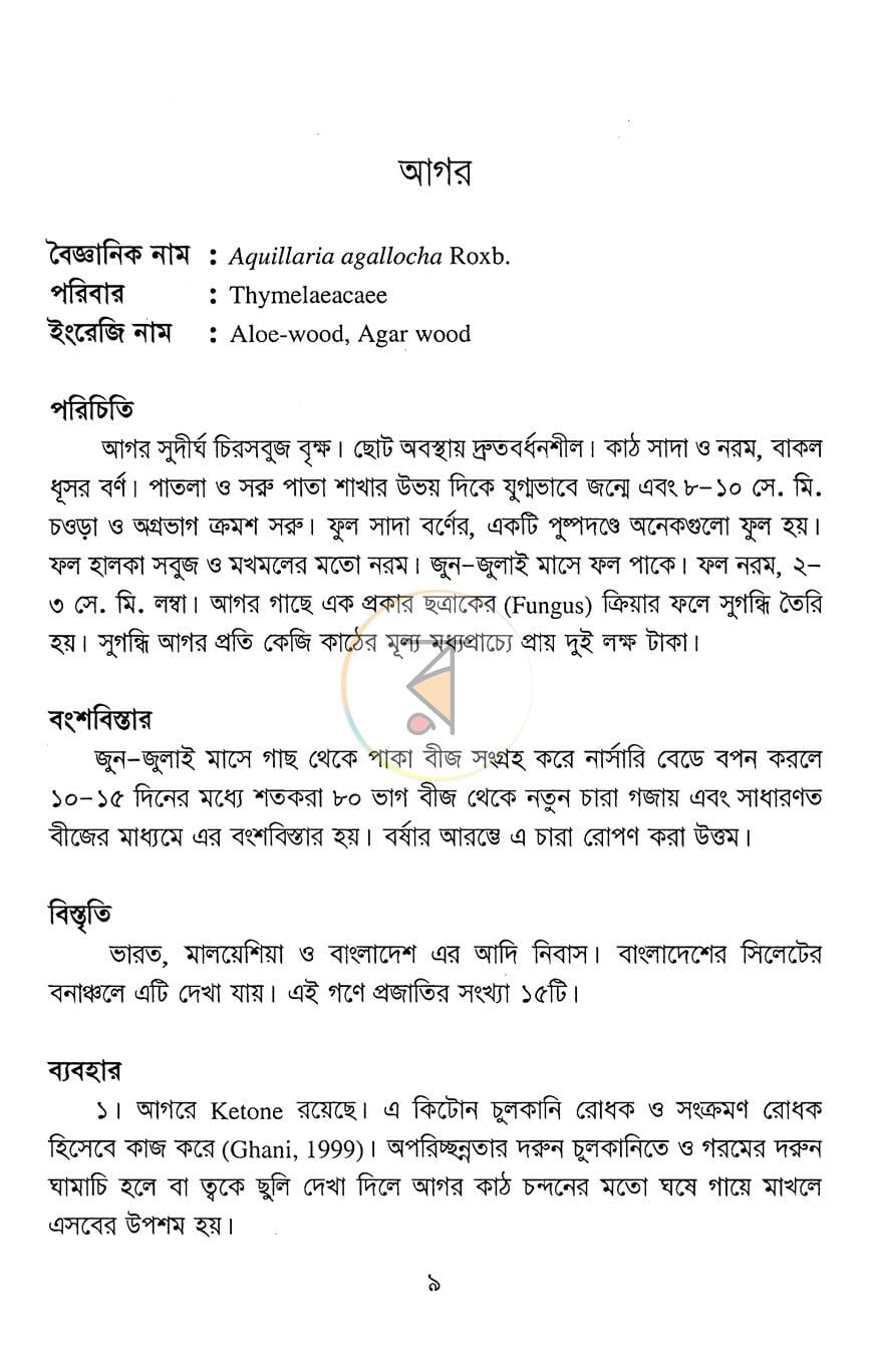 পাতা 13