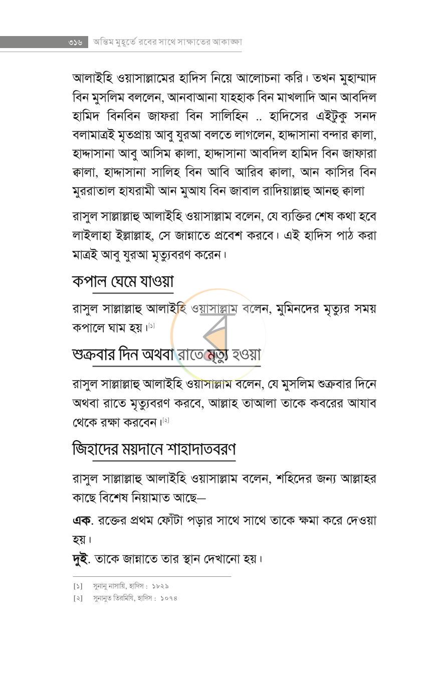 পাতা 23