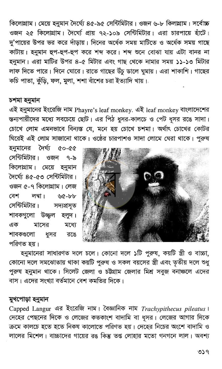 পাতা 22