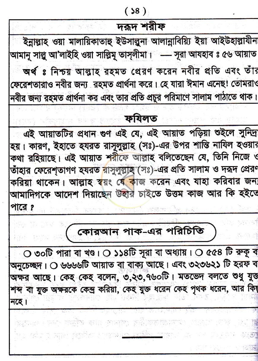 পাতা 13