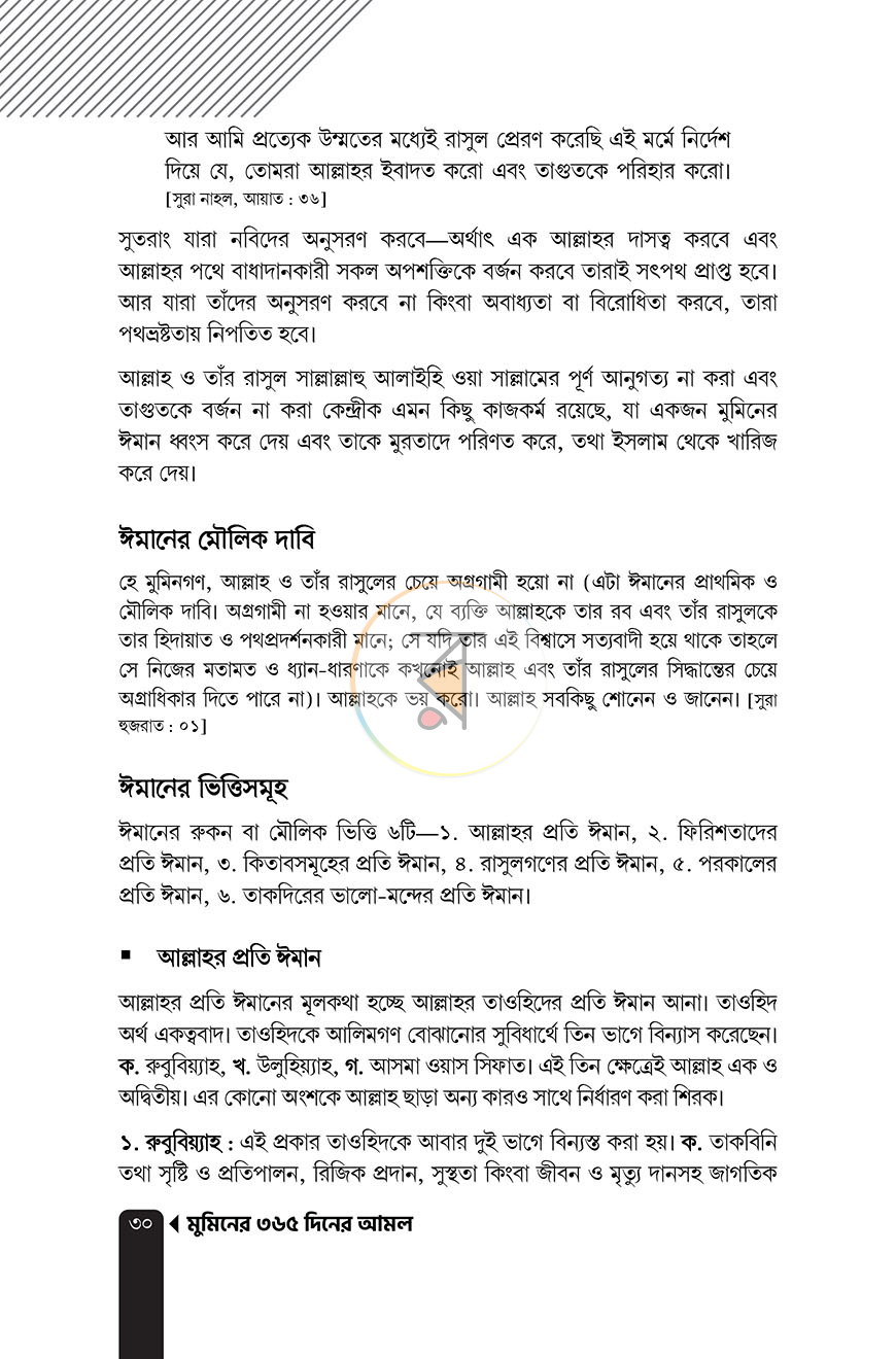 পাতা 11