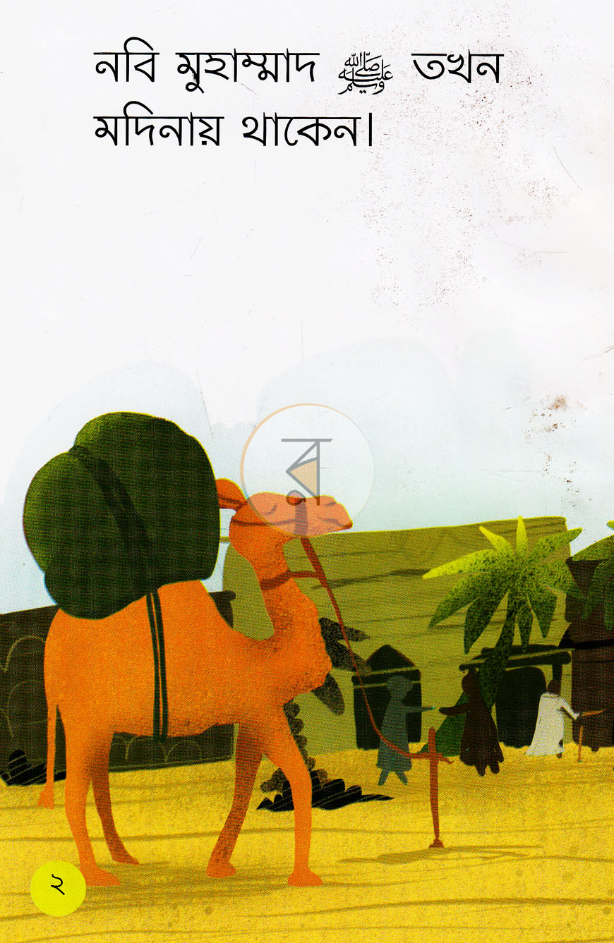পাতা 11