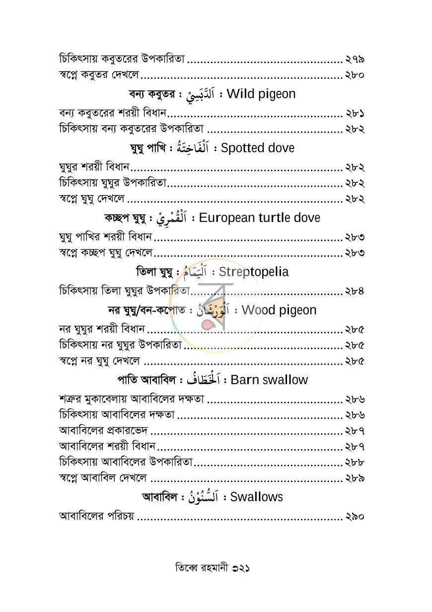 পাতা 17