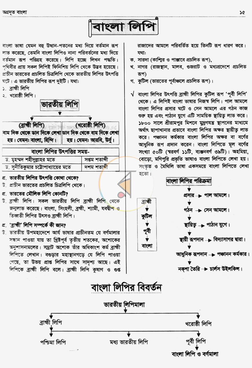 পাতা 11