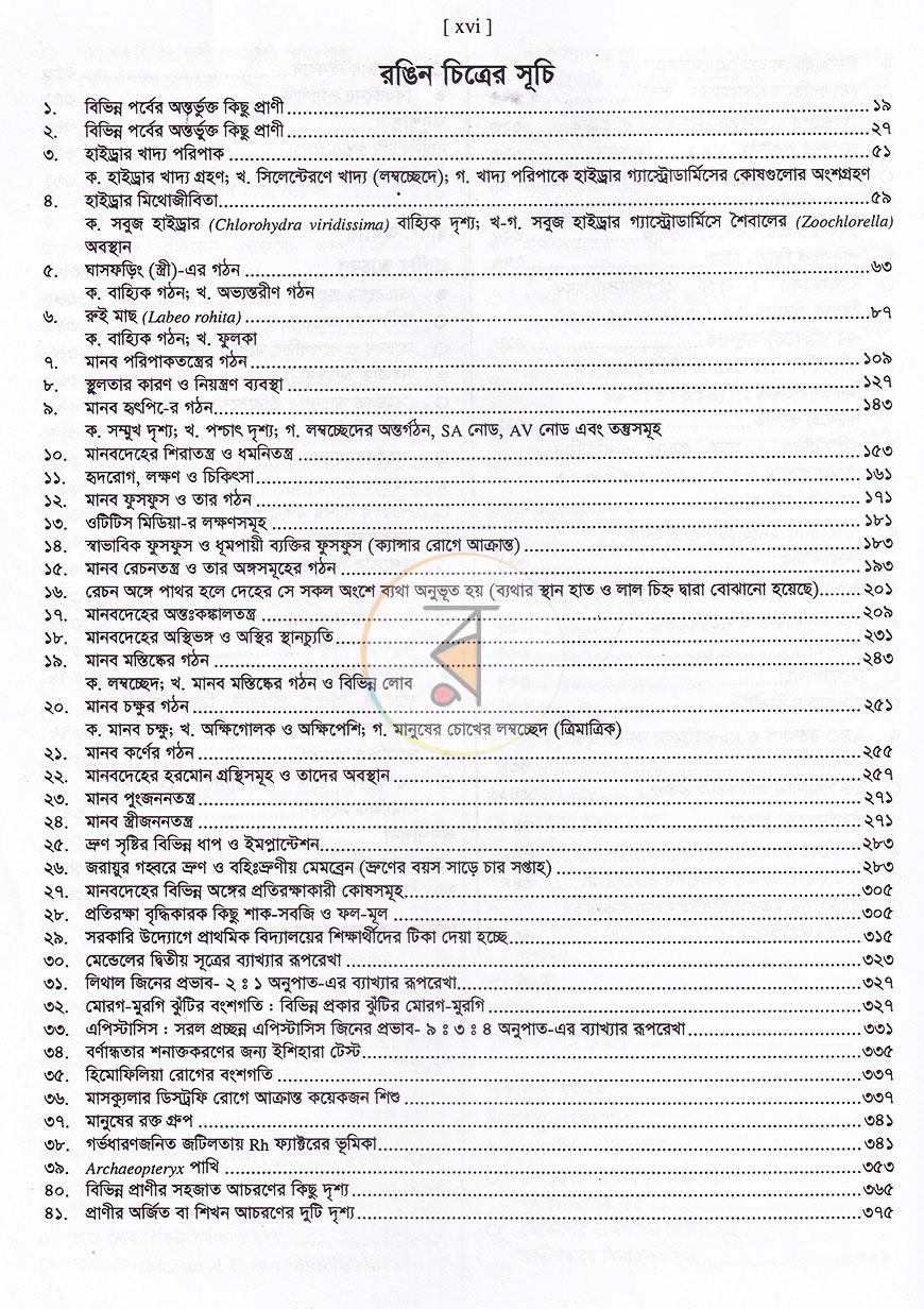 পাতা 8