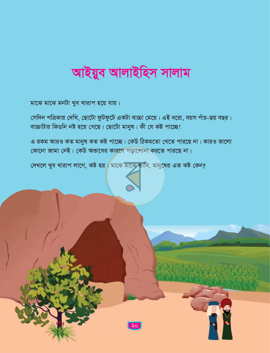 পাতা 13