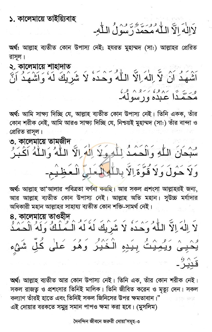 পাতা 2