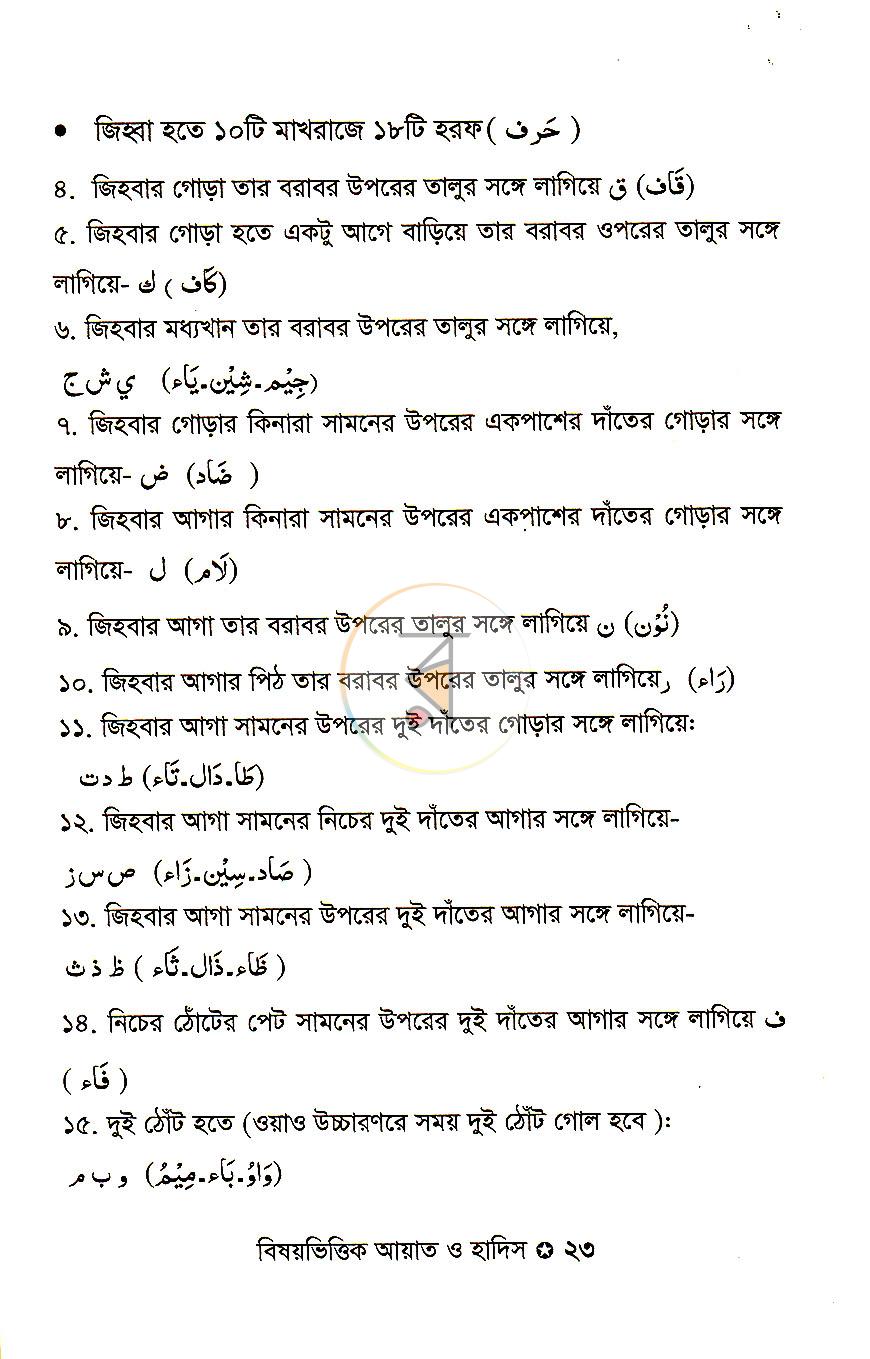 পাতা 14