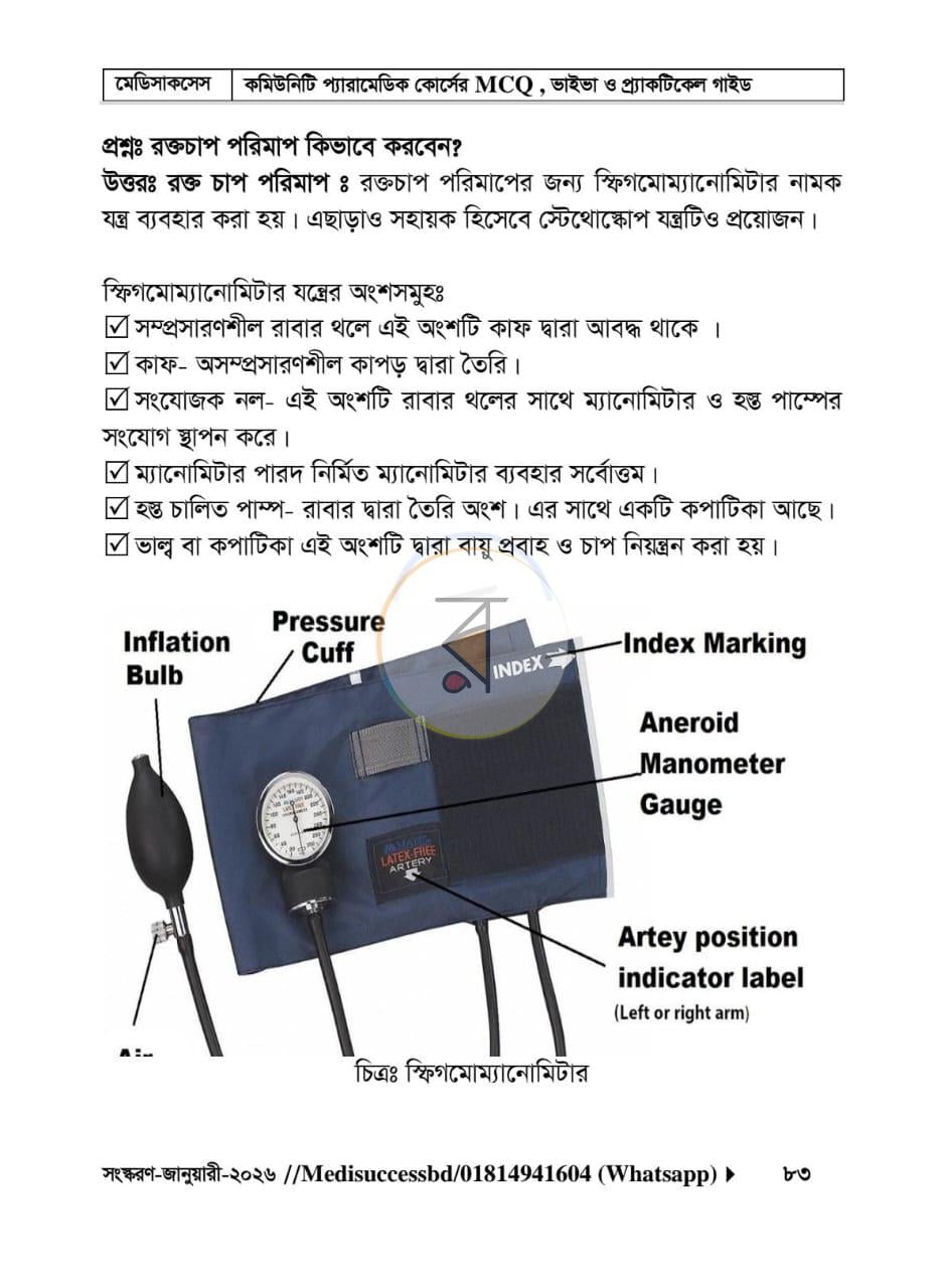 পাতা 13
