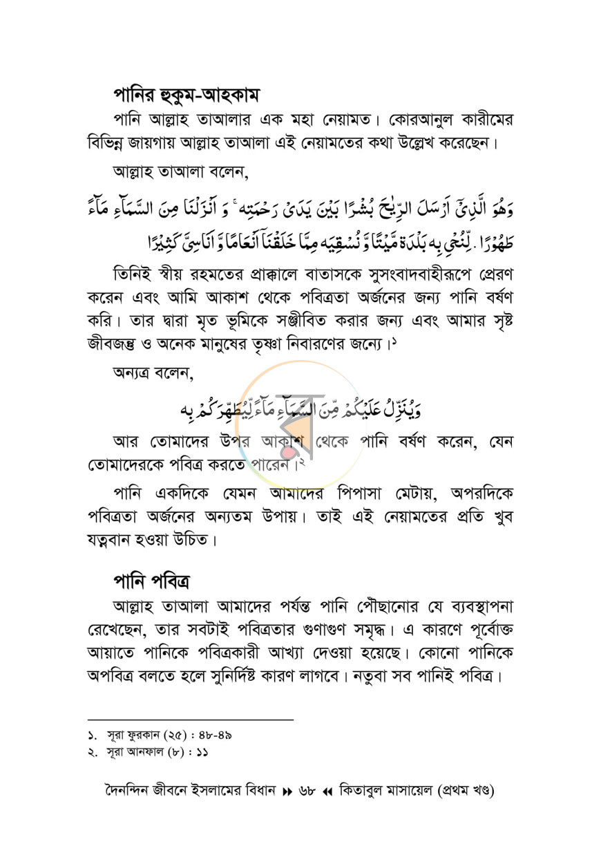 পাতা 11