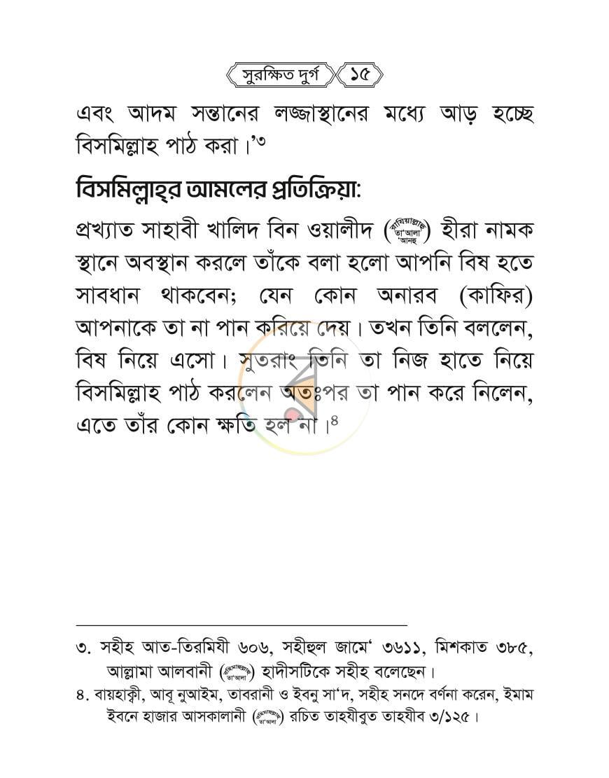 পাতা 13