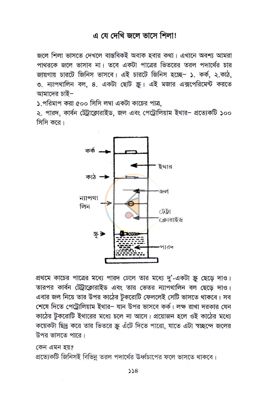 পাতা 11