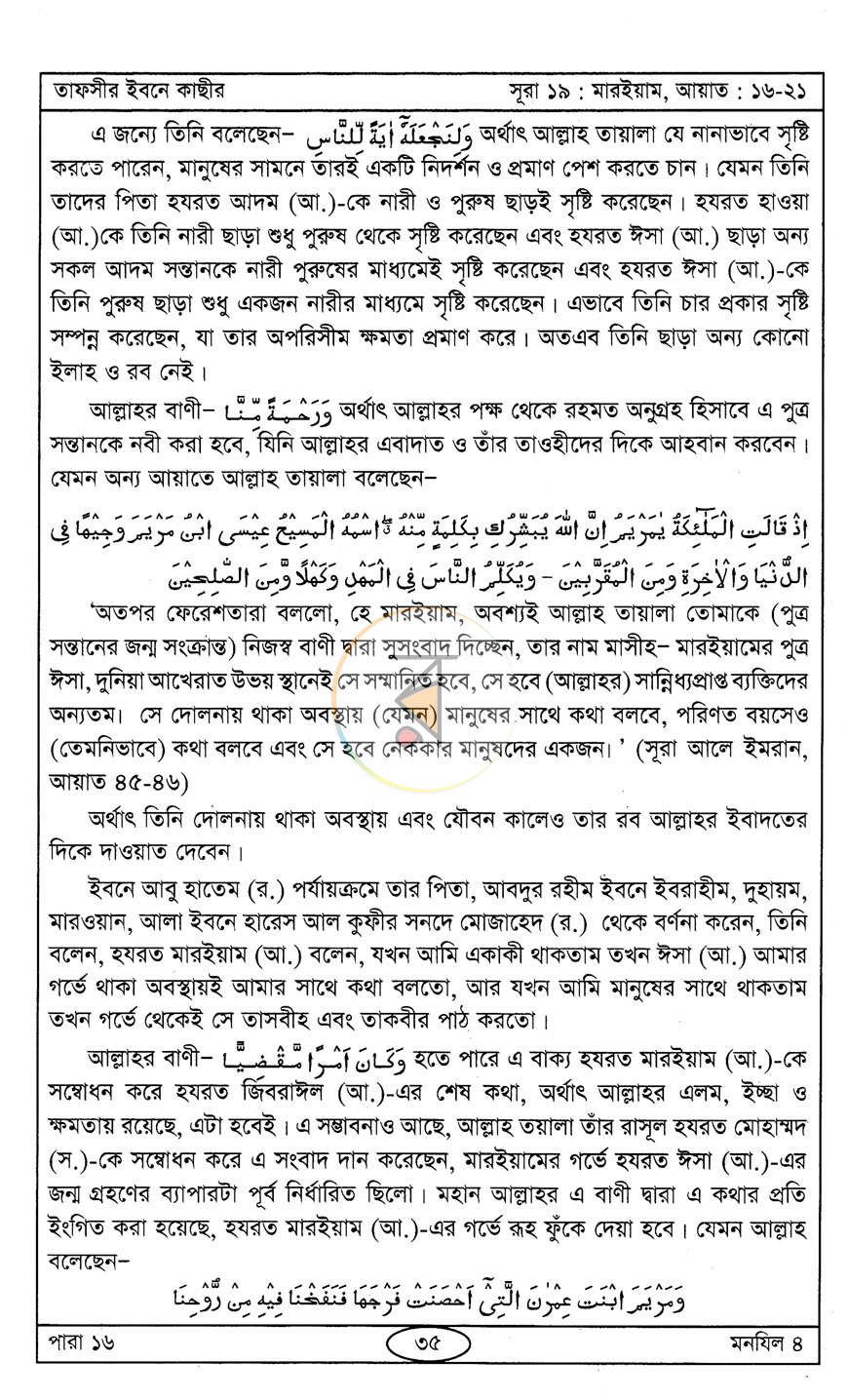 পাতা 11