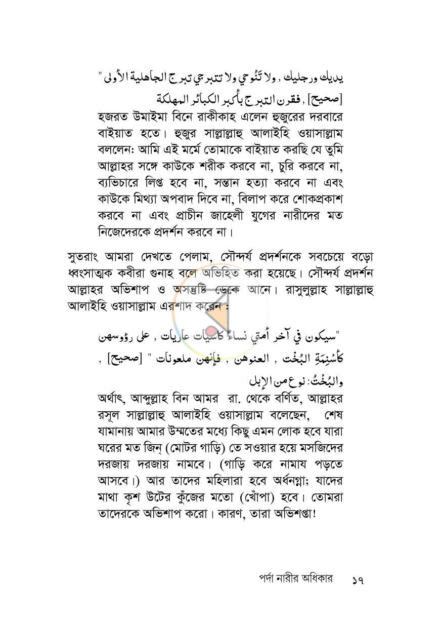 পাতা 17