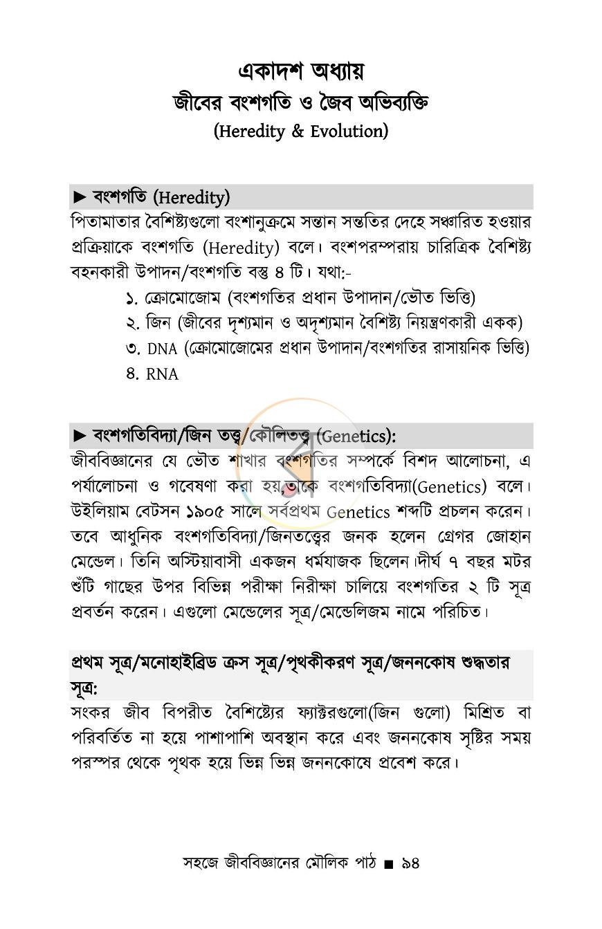 পাতা 13