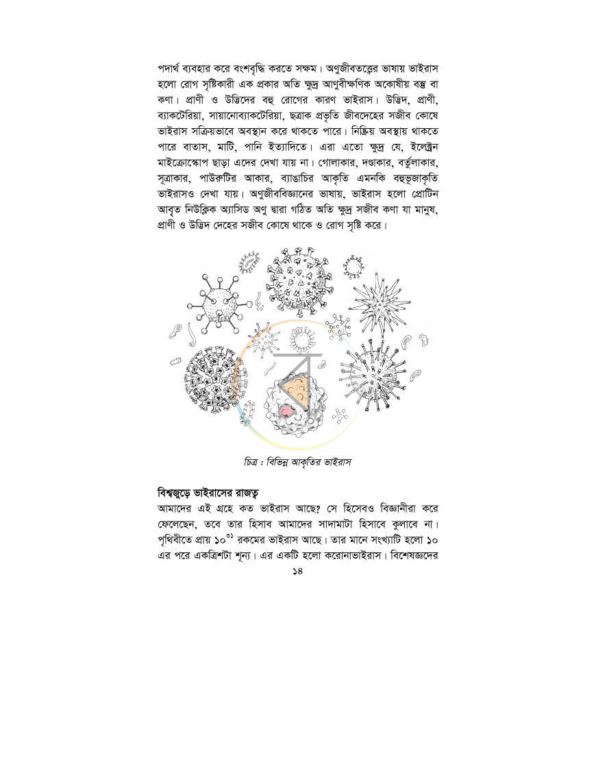 পাতা 11