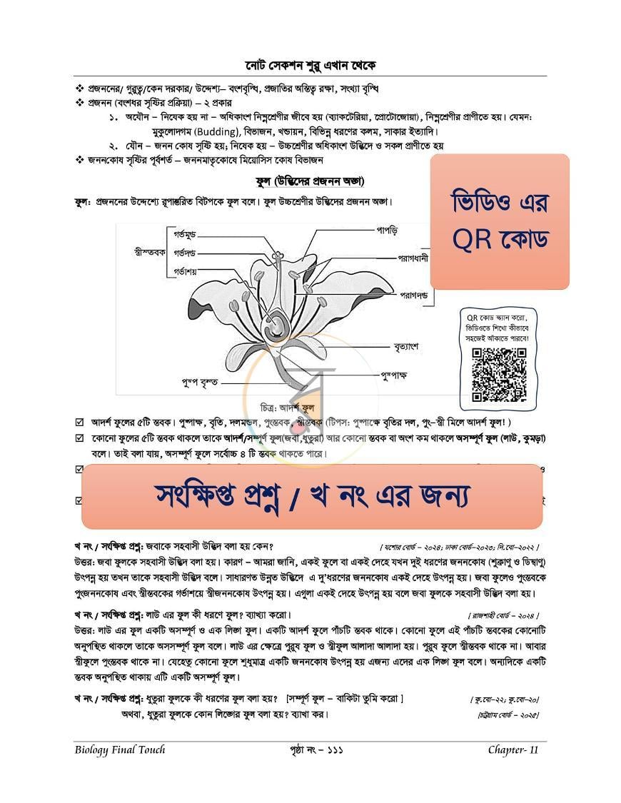 পাতা 17