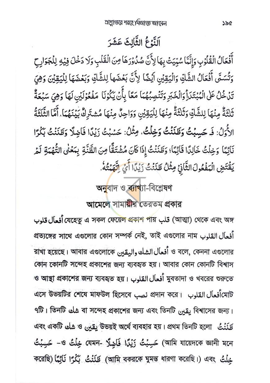 পাতা 13