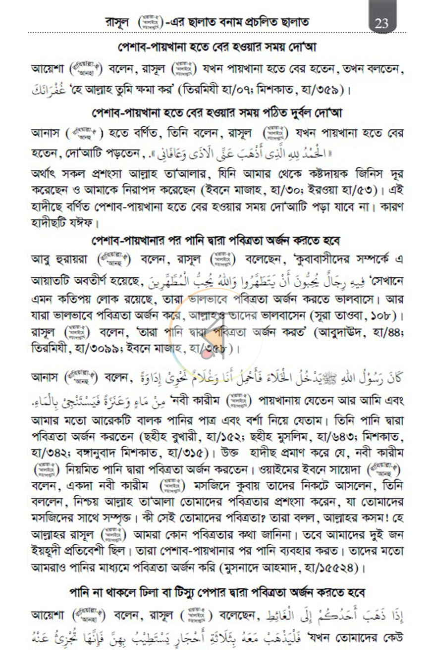 পাতা 13