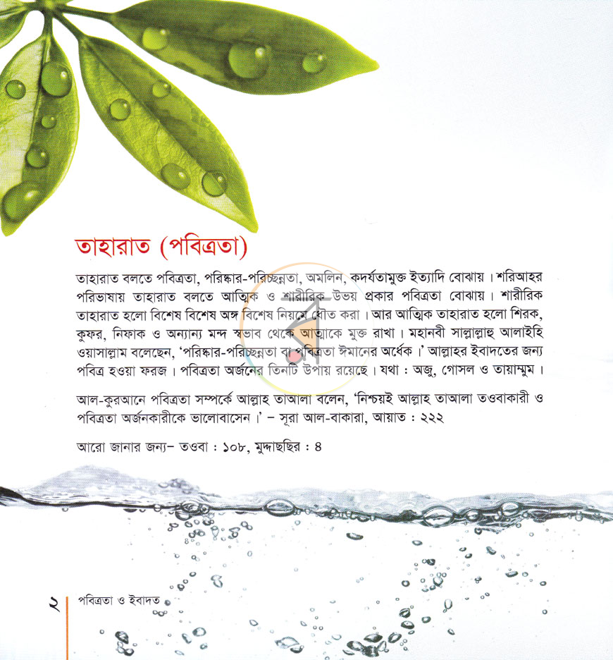 পাতা 14