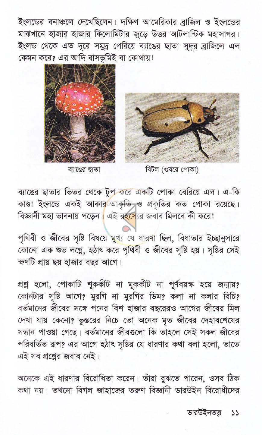 পাতা 8