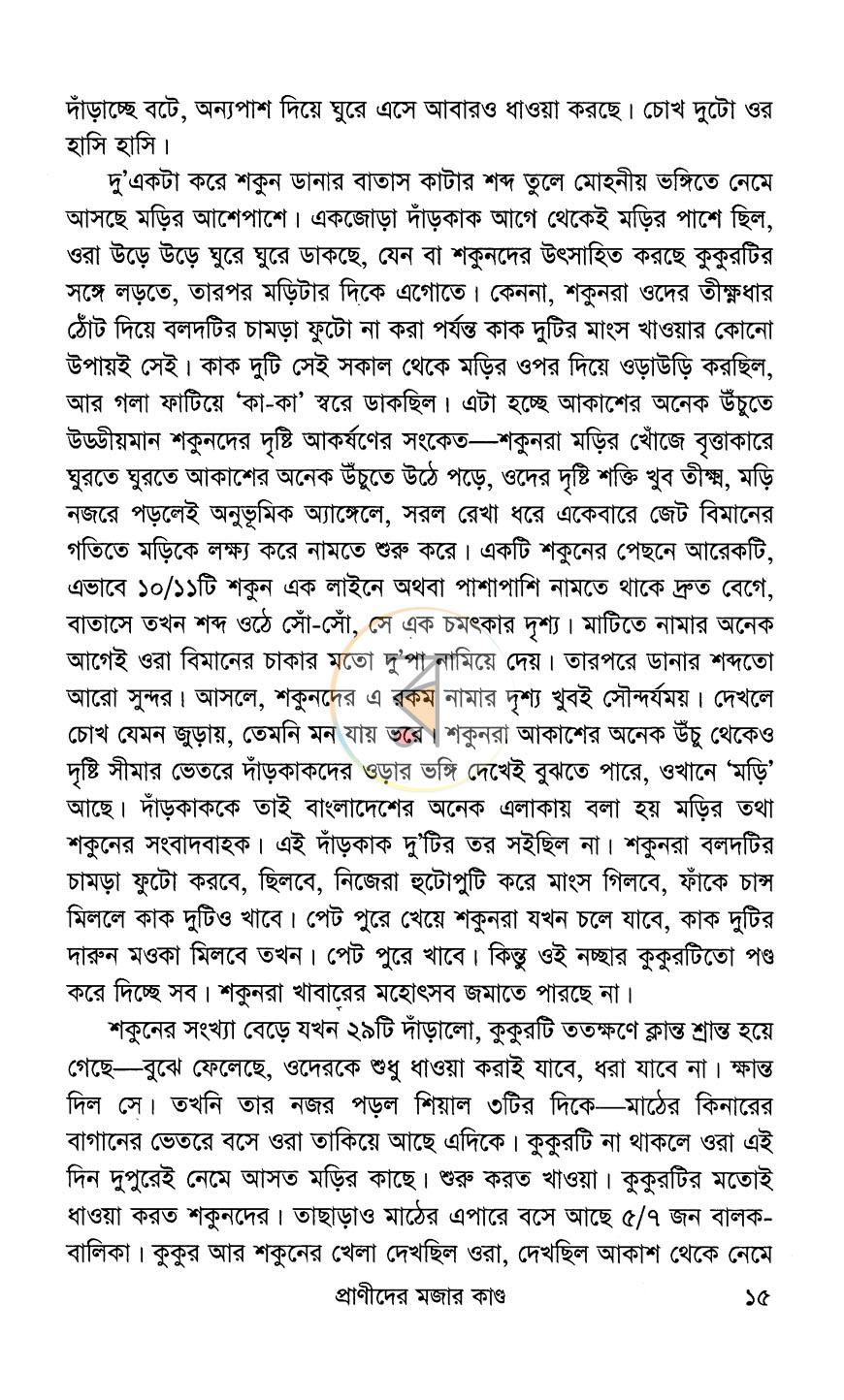 পাতা 11