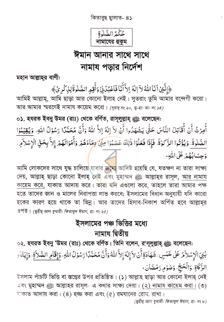 পাতা 8