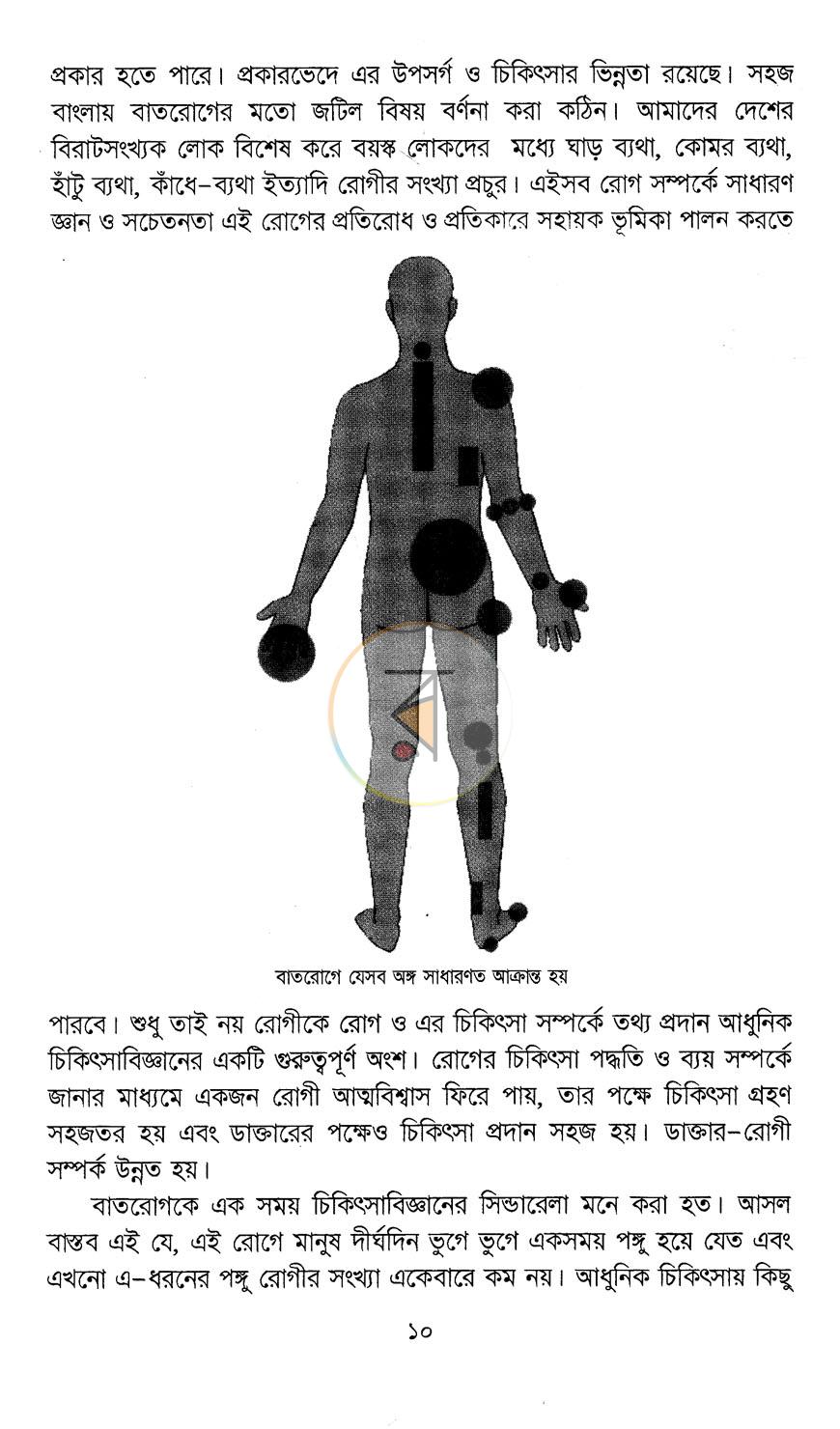 পাতা 12