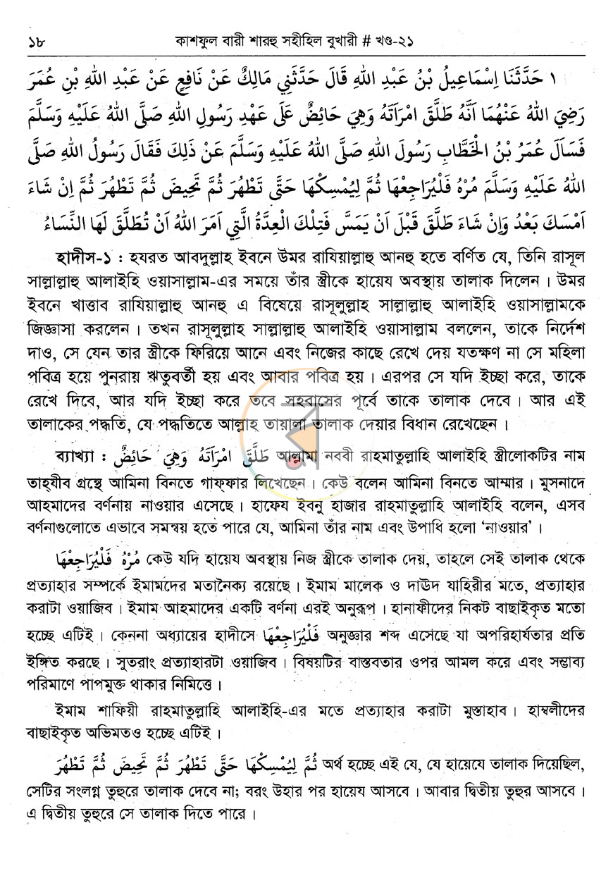 পাতা 11
