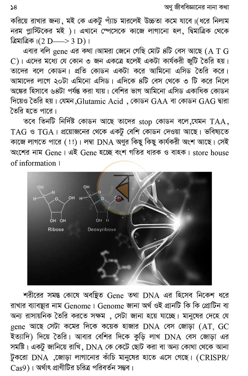 পাতা 8