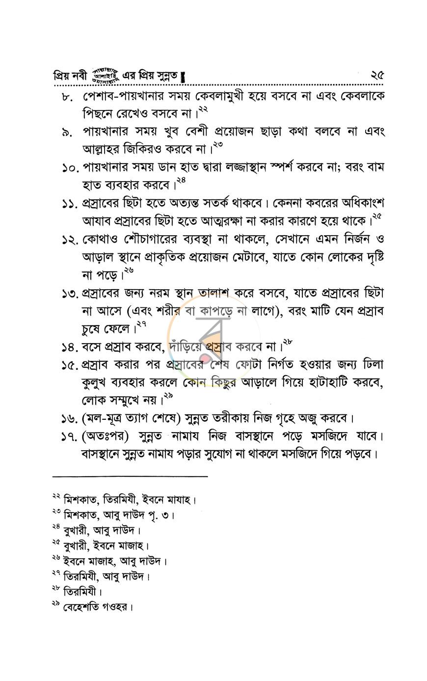 পাতা 13