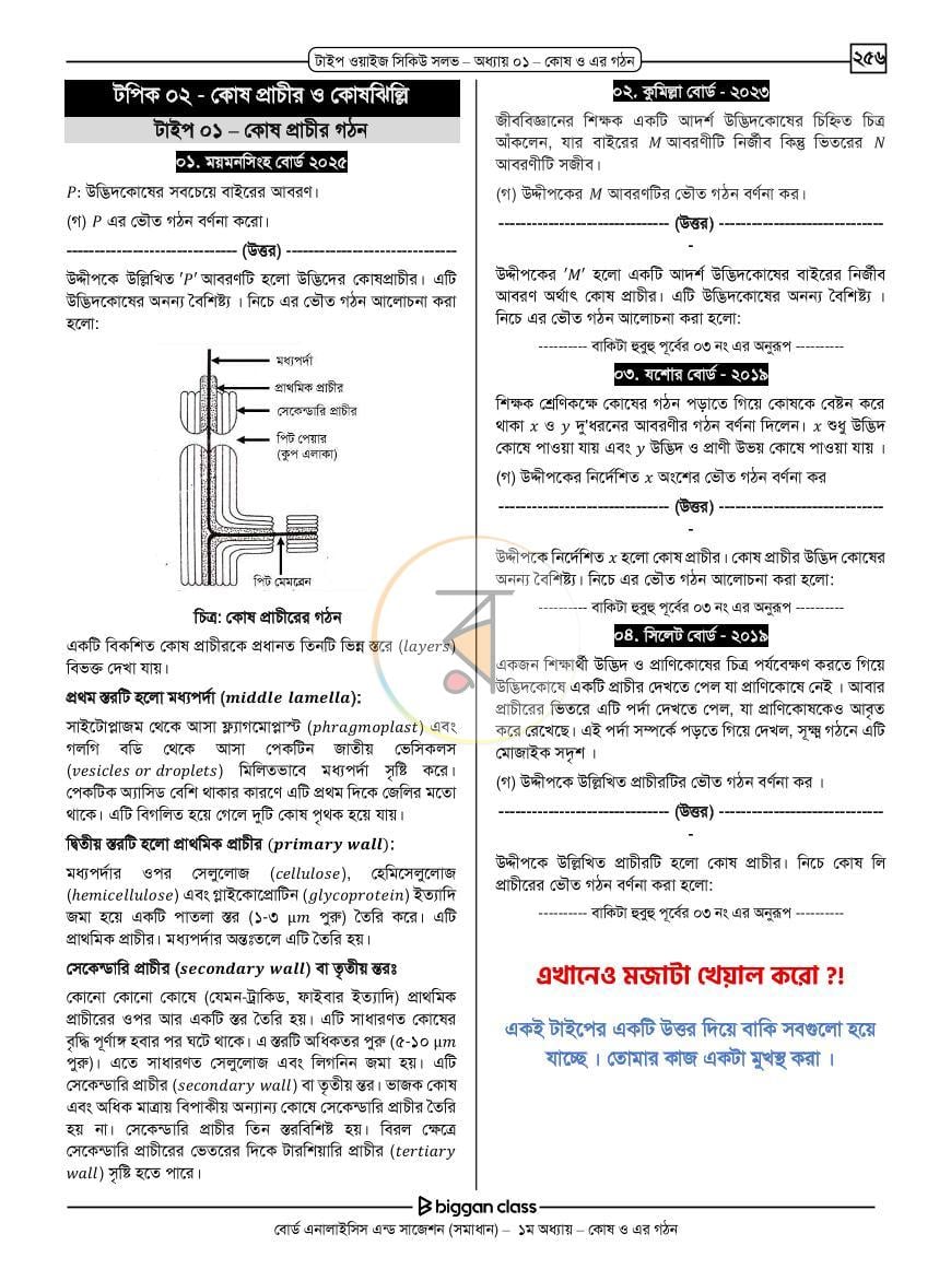 পাতা 10