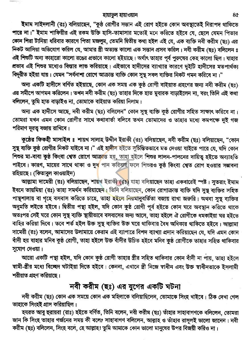 পাতা 11