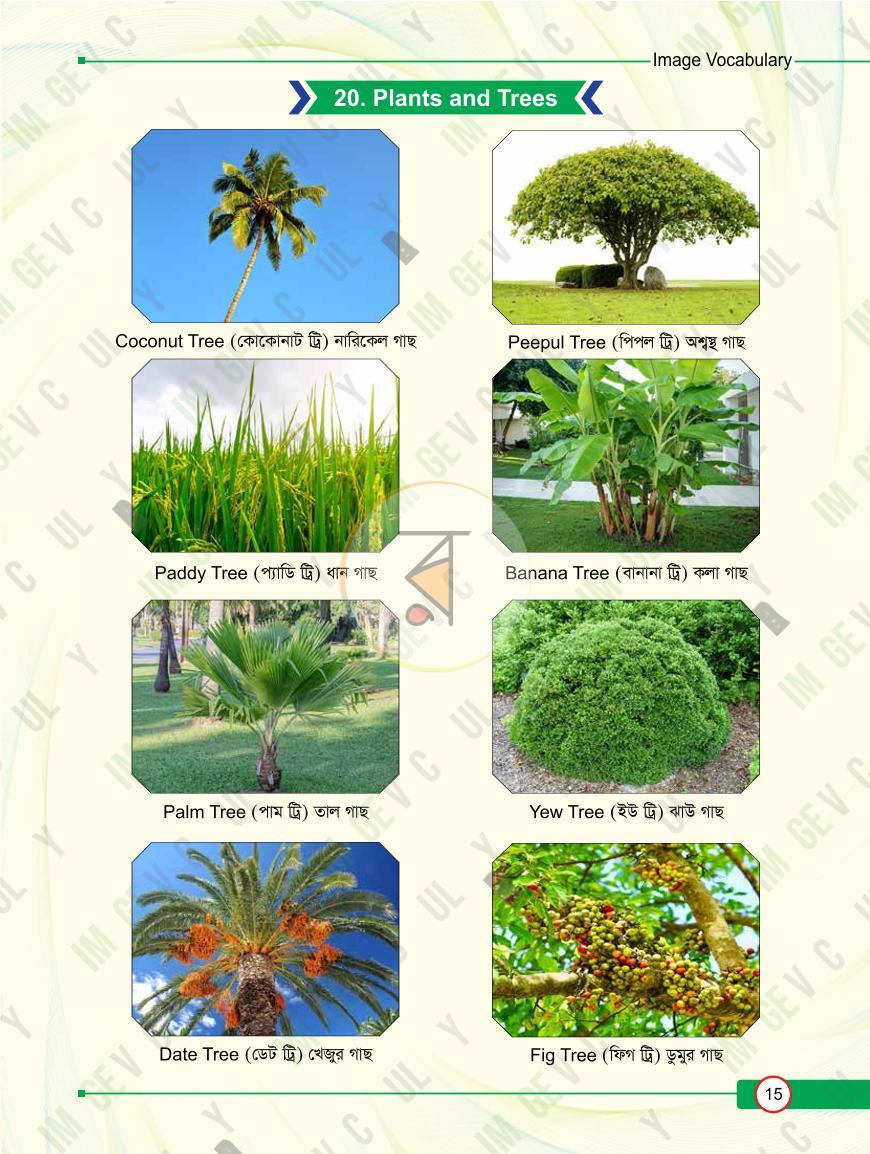 পাতা 15