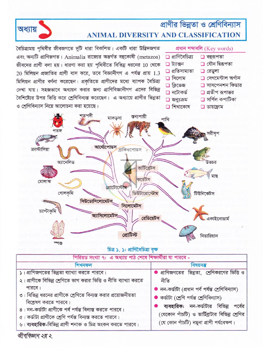 পাতা 6