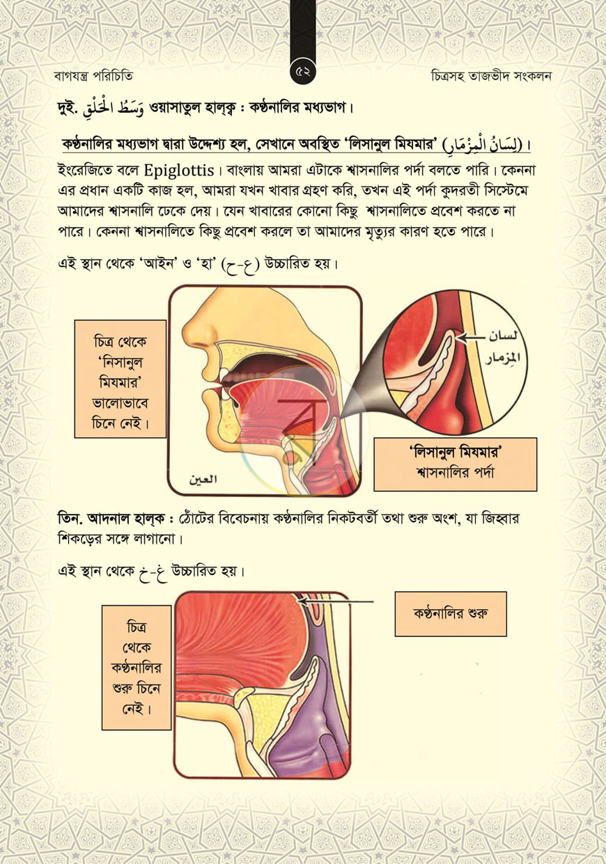 পাতা 16