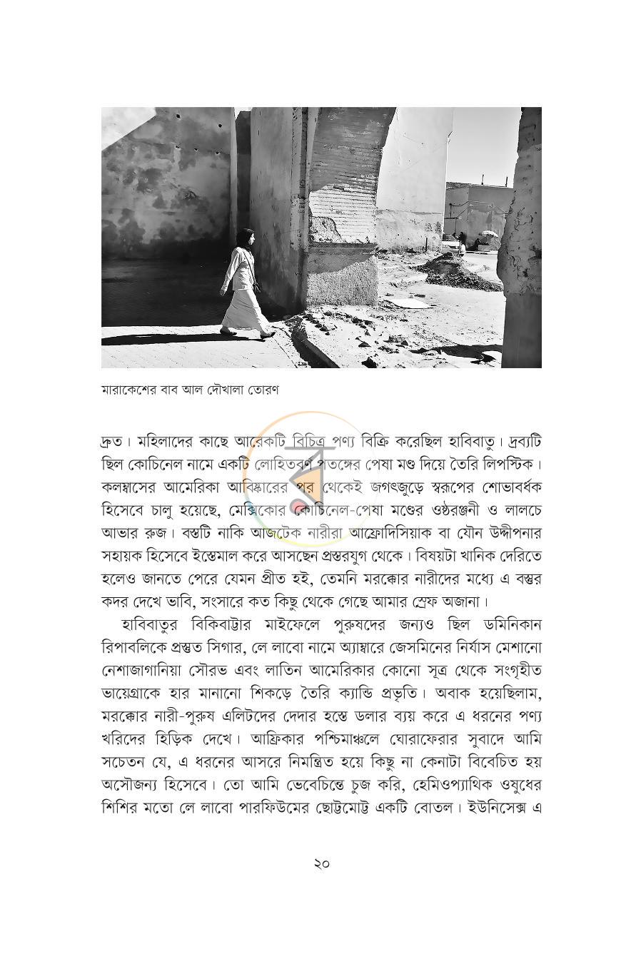 পাতা 14