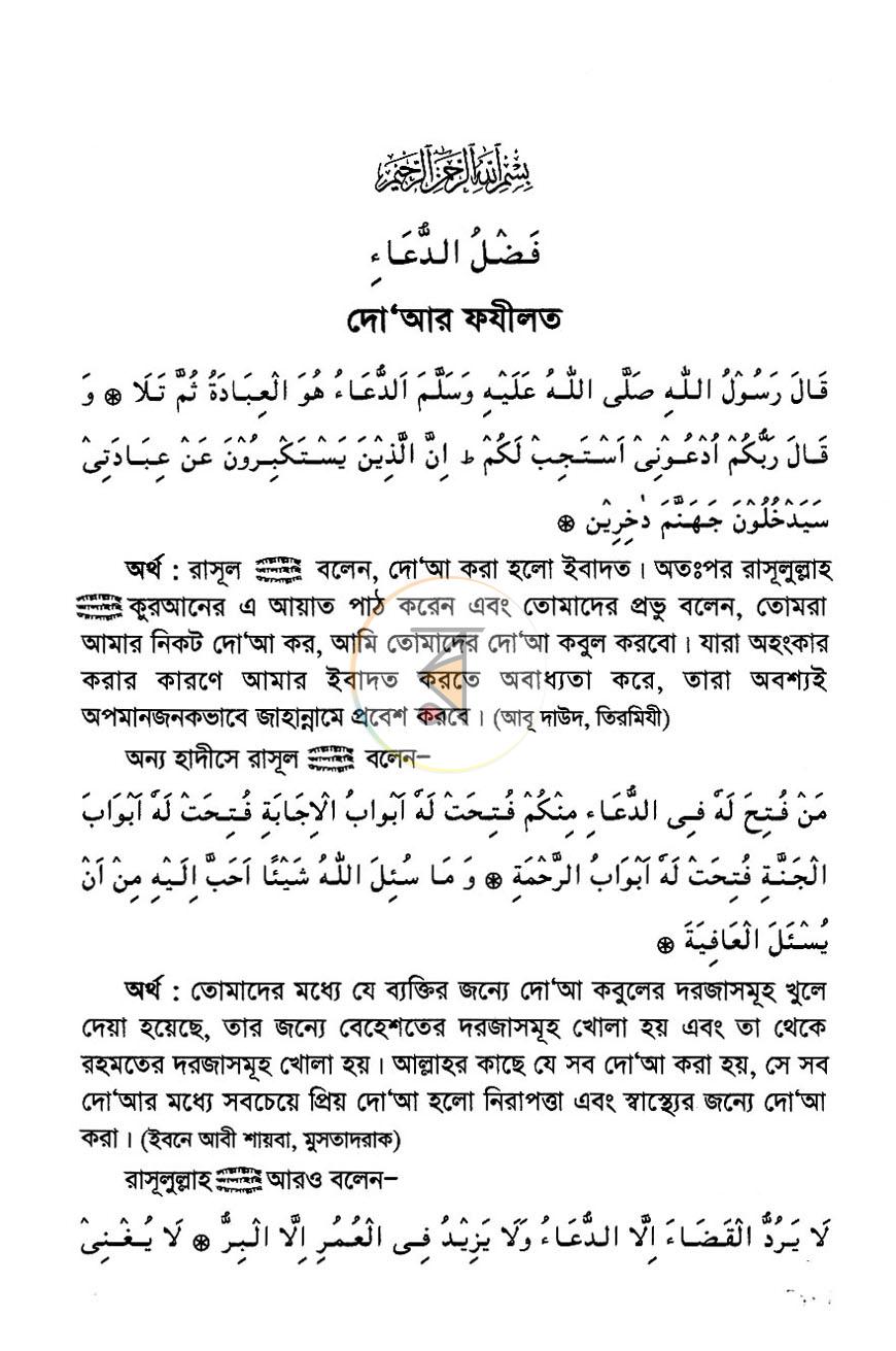 পাতা 13