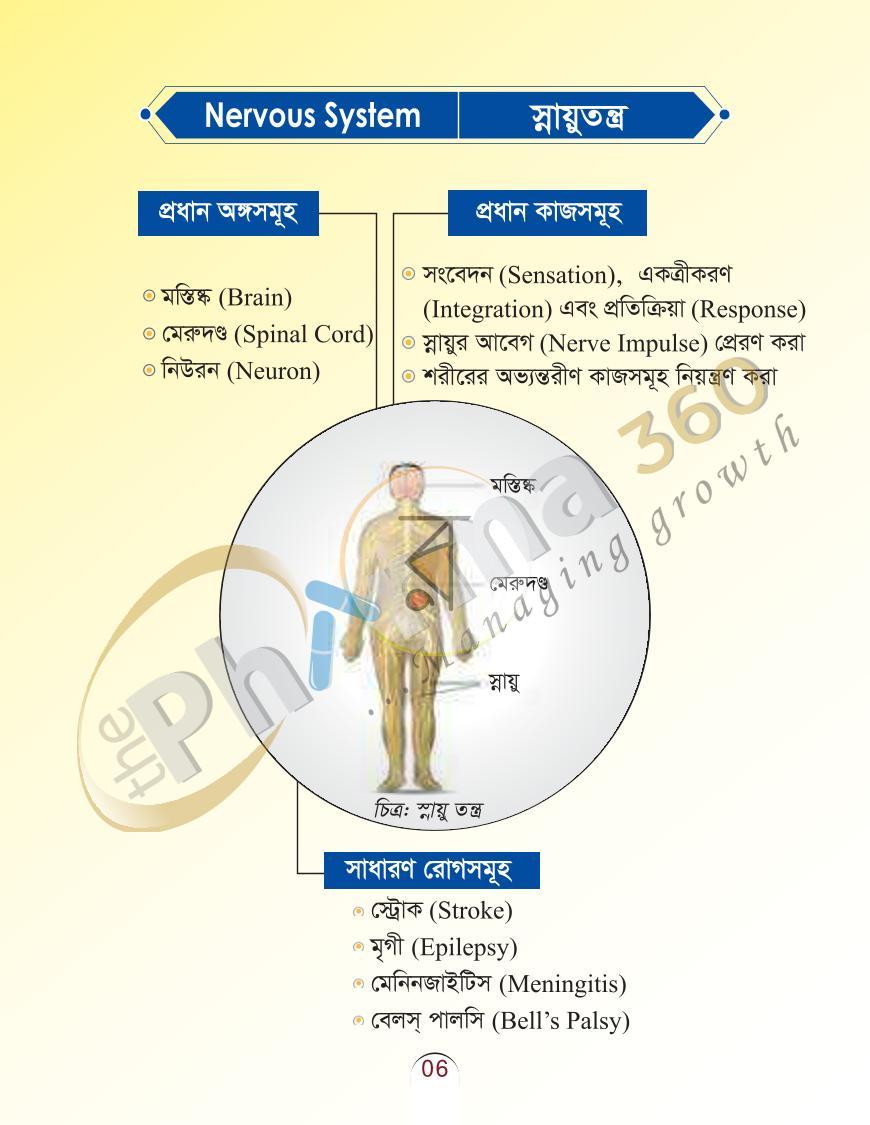 পাতা 30