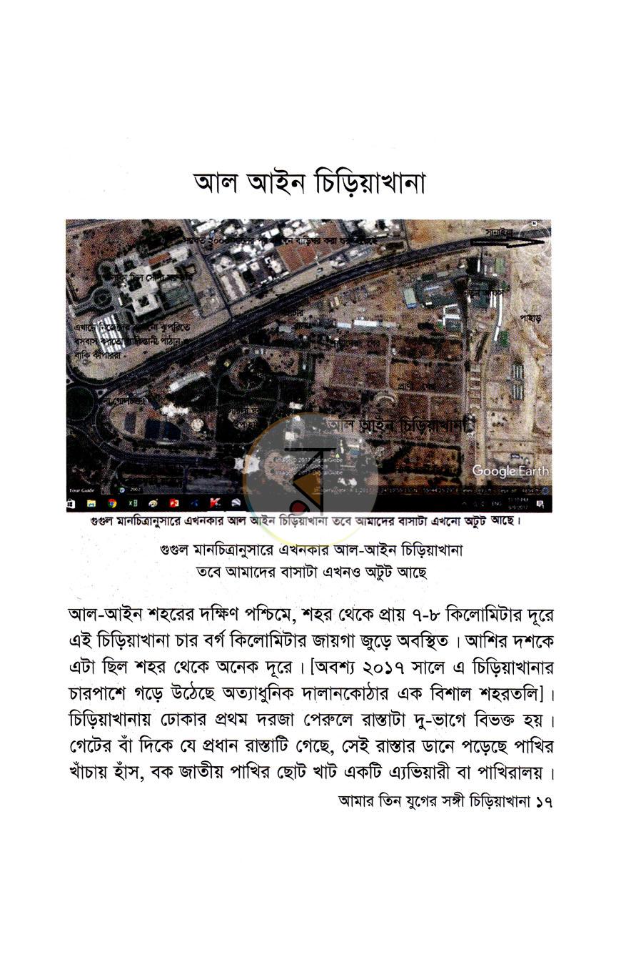 পাতা 11