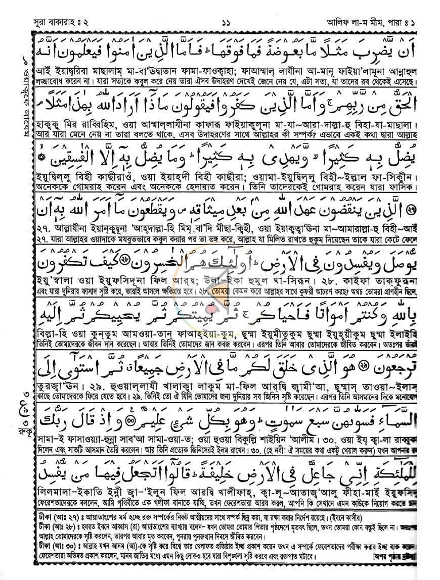 পাতা 8