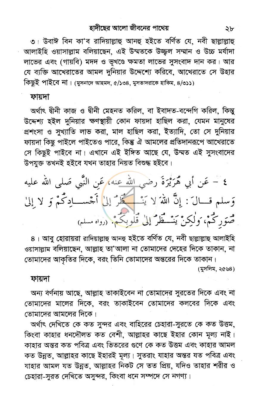 পাতা 12