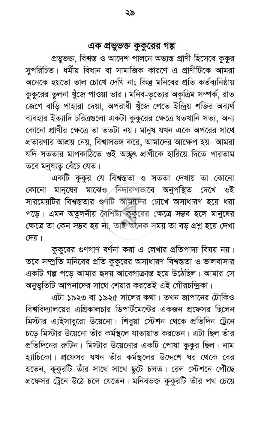 পাতা 19
