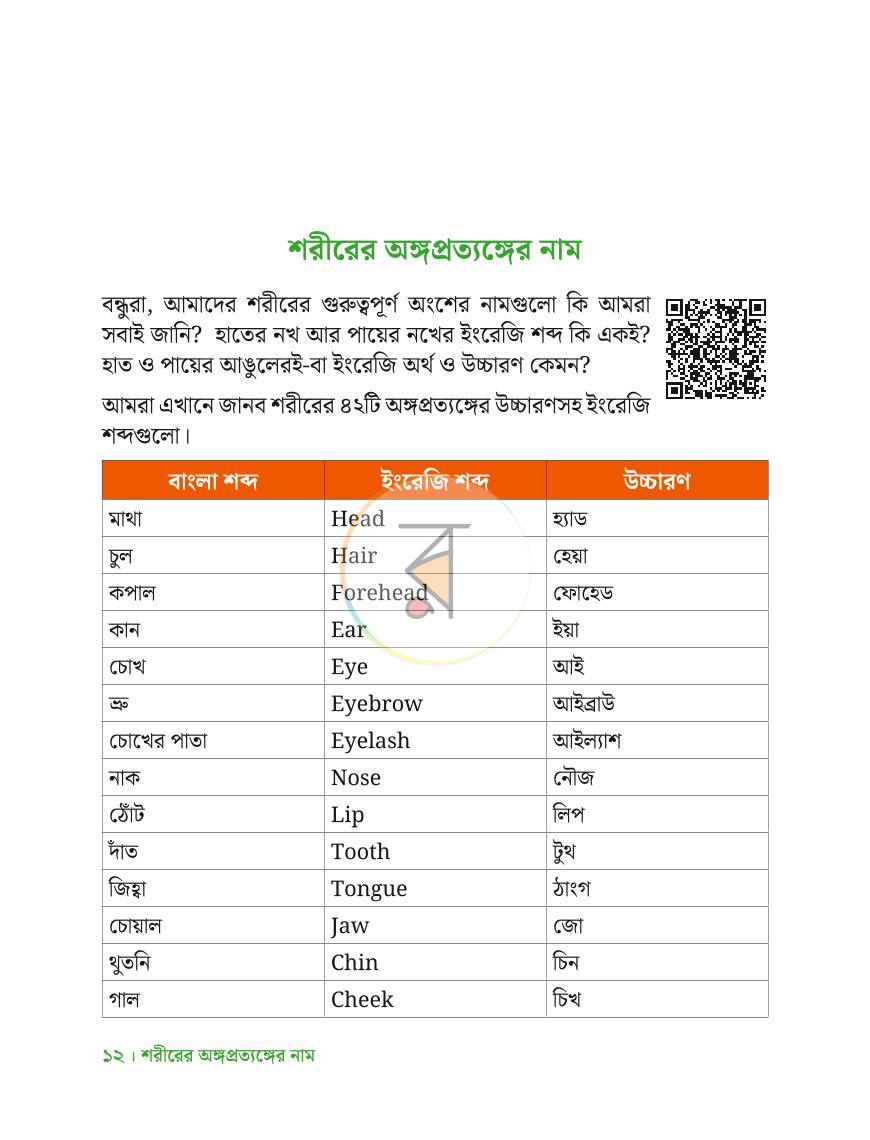 পাতা 11