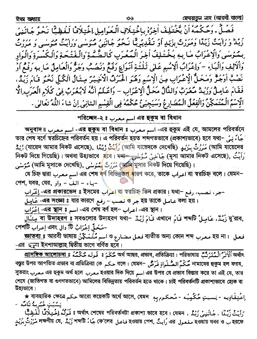 পাতা 9
