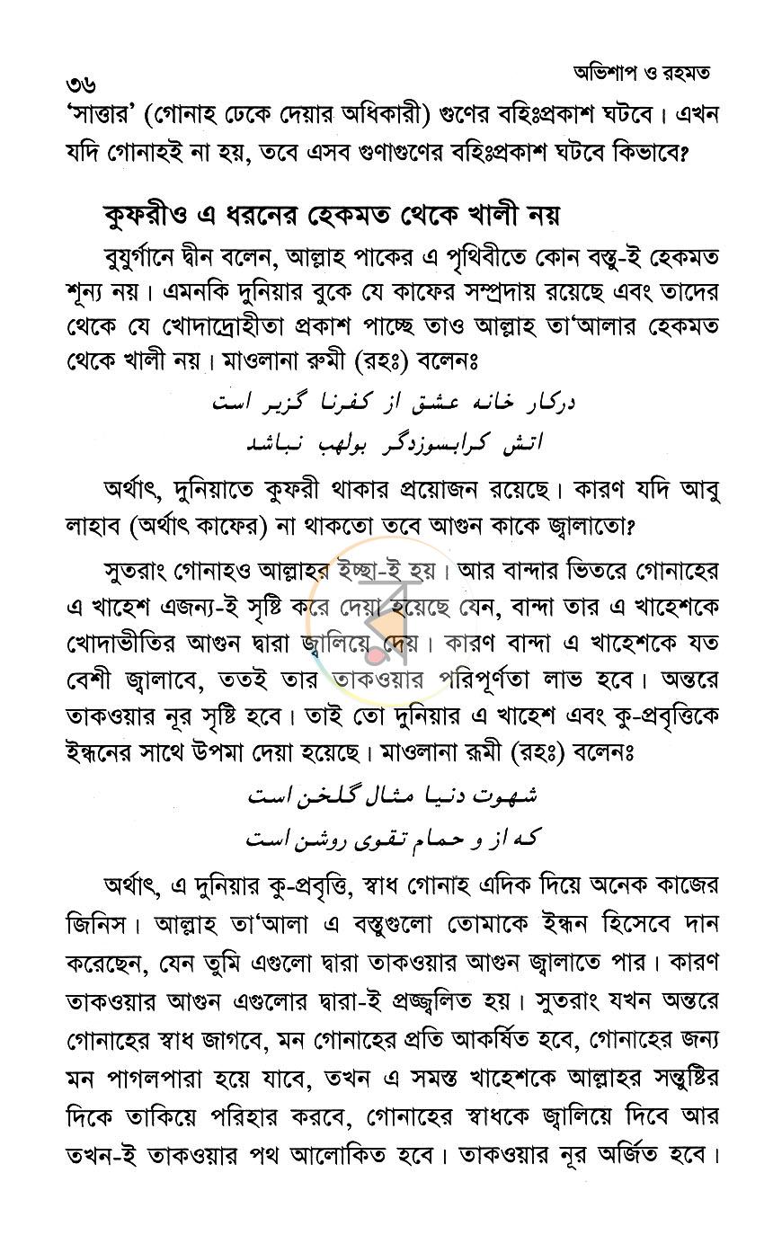 পাতা 11