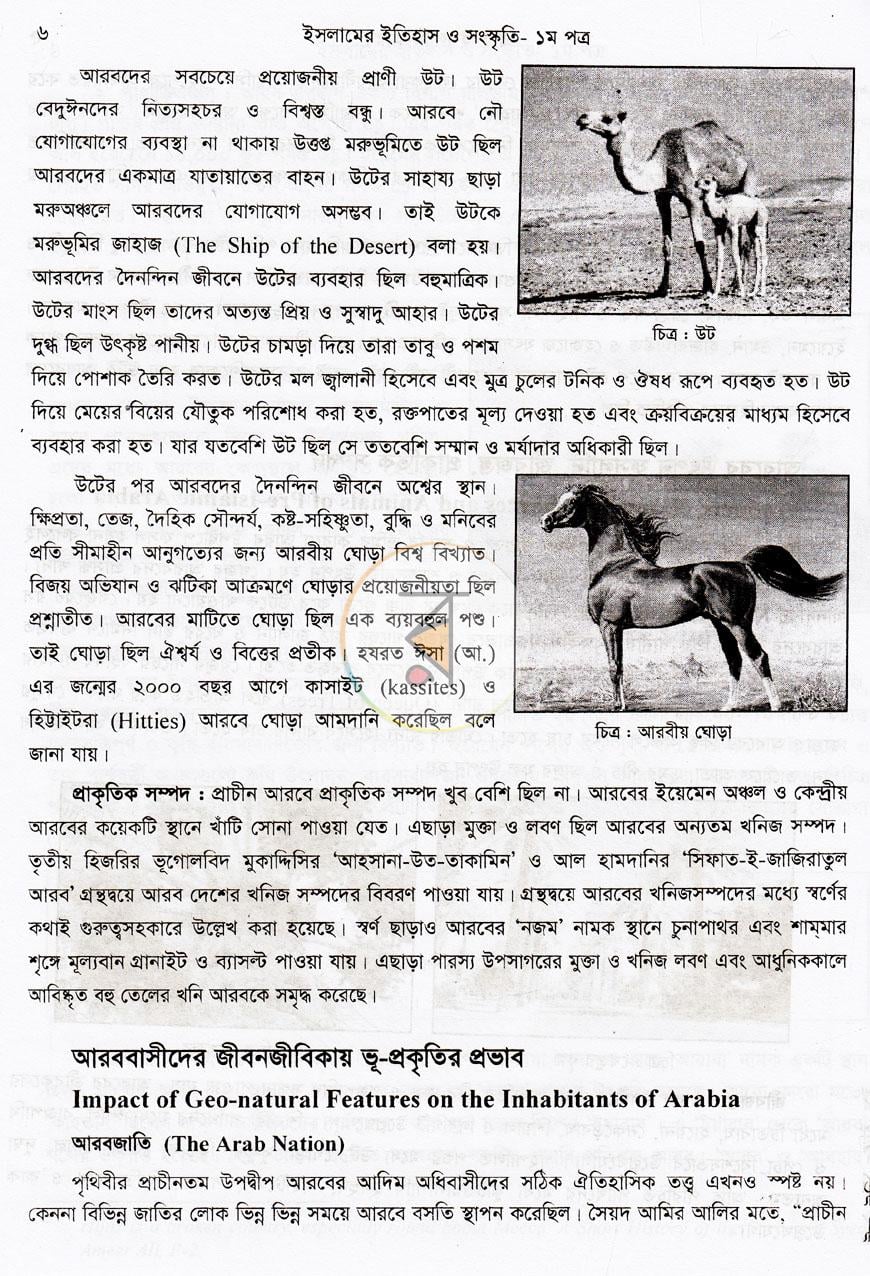 পাতা 11