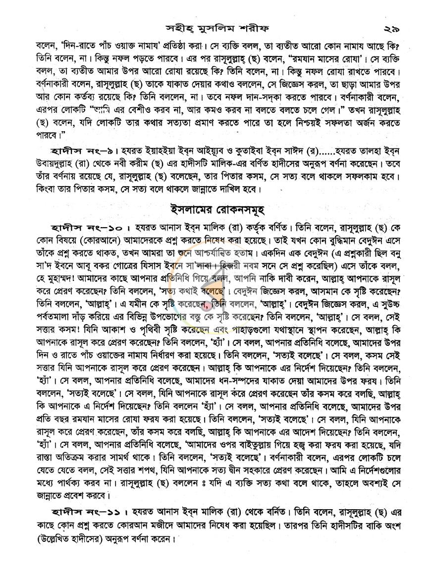 পাতা 13