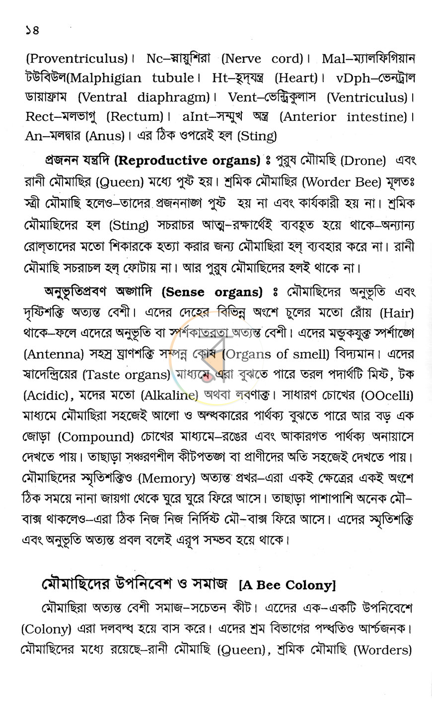 পাতা 9